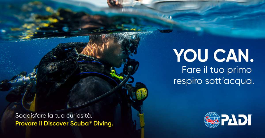 4 Clip Portatubo Per Immersioni Subacquee | Morsetti In Acciaio Inox E PP Per Fissare Tubi Al BCD | Accessori Snorkeling Professionali, Rotazione 360°